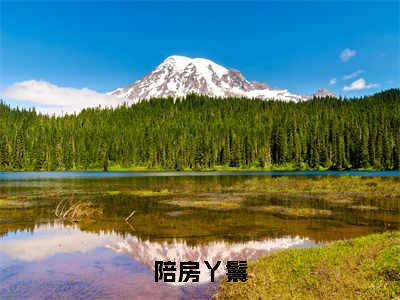 戚云湘陆钧山（陪房丫鬟）全文免费阅读无弹窗大结局_（戚云湘陆钧山免费阅读）陪房丫鬟无弹窗最新章节列表