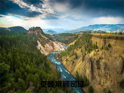 夏晚棠顾司瑾（夏晚棠顾司瑾）免费阅读_夏晚棠顾司瑾小说免费阅读-笔趣阁