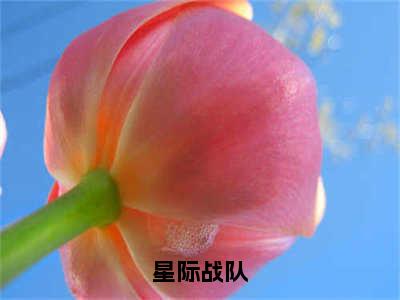 孙岩（星际战队）全文免费阅读无弹窗大结局_孙岩最新章节列表_笔趣阁（星际战队）