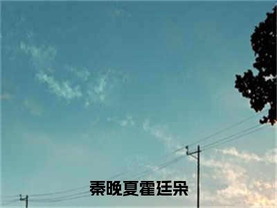 霍廷枭秦晚夏（秦晚夏霍廷枭小说）全文免费阅读无弹窗大结局_秦晚夏霍廷枭小说最新章节列表