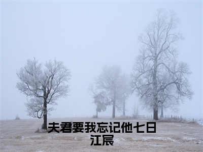 楚穆雪江宸的小说免费阅读（夫君要我忘记他七日江宸的小说免费阅读）全文完整版免费阅读