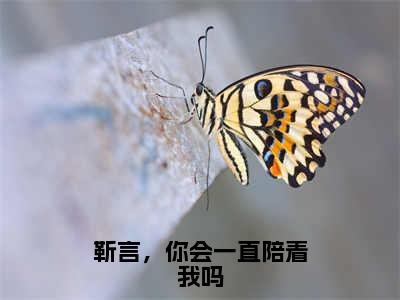 顾靳言叶笙（靳言，你会一直陪着我吗）全文免费阅读无弹窗_顾靳言叶笙最新小说_笔趣阁