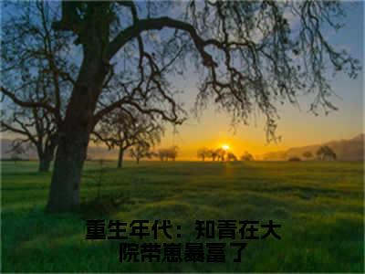 热门小说苏琪萧北全文免费阅读无弹窗大结局-重生年代：知青在大院带崽暴富了全文无弹窗免费阅读大结局