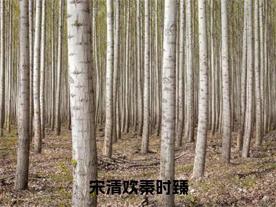 宋清欢秦时臻（宋清欢秦时臻）全文免费阅读无弹窗大结局_宋清欢秦时臻全文完整无删减版免费阅读