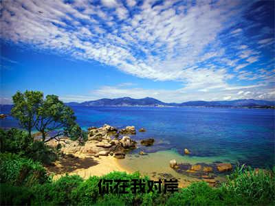 你在我对岸（夏添季斯琰）全文免费阅读-（夏添季斯琰无弹窗阅读）最新章节小说免费阅读