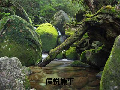 侯悦熊平（侯悦熊平）全文免费阅读无弹窗大结局_（侯悦熊平）免费阅读无弹窗最新章节列表