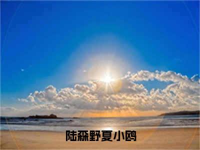 陆森野夏小鸥是哪部小说的主角，陆森野夏小鸥全文无弹窗完整版阅读