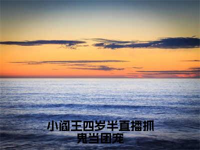 小说（小阎王四岁半直播抓鬼当团宠）夭夭全文阅读-精彩美文小阎王四岁半直播抓鬼当团宠免费阅读