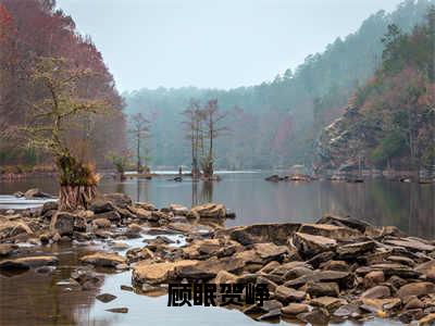 顾眠贺峥（贺峥顾眠）小说-顾眠贺峥小说免费最新章节列表