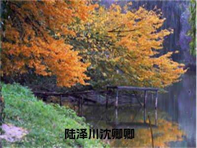 陆泽川沈卿卿（沈卿卿陆泽川全章节完整版）免费阅读-陆泽川沈卿卿全文无删减阅读