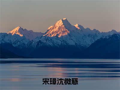 宋璋沈微慈在线阅读（沈微慈宋璋）全文免费阅读无弹窗大结局_沈微慈宋璋最新章节列表笔趣阁（宋璋沈微慈）