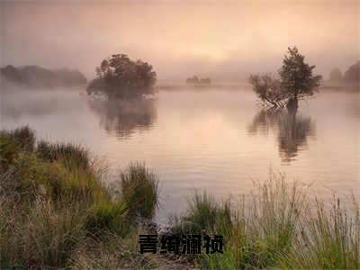 青绮澜祯小说最新章节阅读-小说青绮澜祯（青绮澜祯）已完结小说精彩大结局