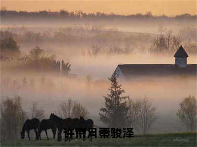 许京月秦骏泽免费小说（许京月秦骏泽）全本免费阅读-许京月秦骏泽最新章节列表