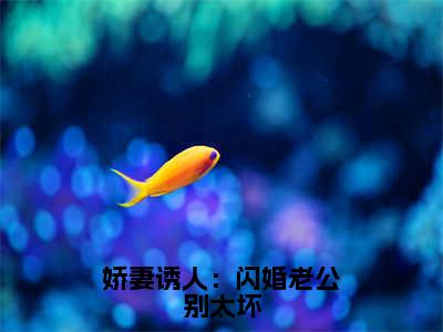 夏若瑶（娇妻诱人：闪婚老公别太坏）在线阅读小说全文无删减-娇妻诱人：闪婚老公别太坏小说大结局