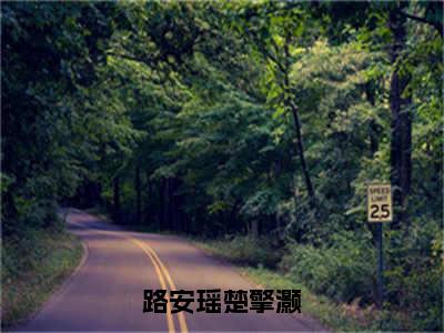 小说《楚擎灏路安瑶》全文免费阅读无弹窗-路安瑶楚擎灏小说全文在线赏析