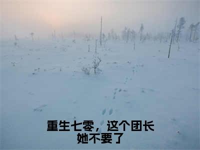 重生七零，这个团长她不要了（封云霆姜宛柔）免费小说-封云霆姜宛柔（重生七零，这个团长她不要了）全文精彩章节阅读-笔趣阁