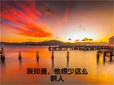 我知道，他很少这么哄人（程梨星陆周迟）全文免费阅读无弹窗大结局_（程梨星陆周迟）的小说（我知道，他很少这么哄人）最新章节列表