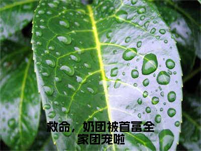 （江雨鸢后续+免费）救命，奶团被首富全家团宠啦小说大结局-精彩美文江雨鸢免费阅读