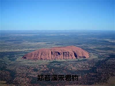 郑若溪宋君钧（宋君钧郑若溪）全文免费阅读无弹窗大结局-郑若溪宋君钧免费阅读全文大结局-笔趣阁