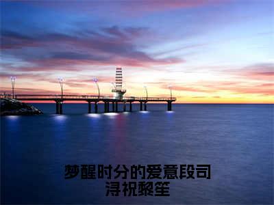 梦醒时分的爱意段司浔祝黎笙（祝黎笙段司浔）免费全文阅读小说_梦醒时分的爱意段司浔祝黎笙免费在线阅读（祝黎笙段司浔）小说最新章节列表