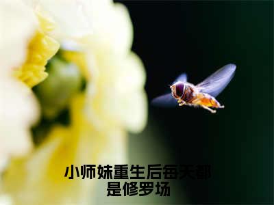 小师妹重生后每天都是修罗场全文免费阅读无弹窗大结局_（楚云汐）小师妹重生后每天都是修罗场小说免费阅读完整版全文大结局