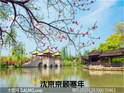 沈京京顾寒年（沈京京顾寒年）免费阅读-小说（沈京京顾寒年）沈京京顾寒年全文阅读