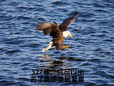 精选热门327号，你可以出去了秦御霆顾繁星全文无删减版在线阅读