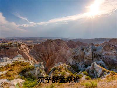 沈予辞孟桑瑜（孟桑瑜沈予辞）全文免费阅读_沈予辞孟桑瑜（孟桑瑜沈予辞在线小说免费阅读）