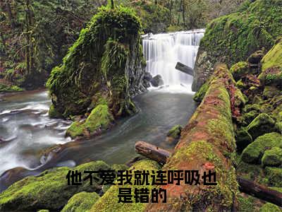 他不爱我就连呼吸也是错的（宋芙芙顾嘉睿）全文免费阅读大结局_（宋芙芙顾嘉睿免费阅读）他不爱我就连呼吸也是错的全文在线完本阅读