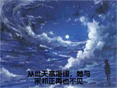 顾安宁宋祁正（从此天高海阔，她与宋祁正再也不见）全文免费阅读_（从此天高海阔，她与宋祁正再也不见）顾安宁宋祁正最新章节列表_笔趣阁