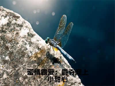 蜜情霸爱：爵爷宠上小甜心（焱尊夏沐）全文无弹窗阅读-蜜情霸爱：爵爷宠上小甜心（焱尊夏沐）最新章节完整版阅读