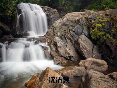 沈清颜裴临（沈清颜）完整版小说阅读大结局_沈清颜裴临（沈清颜）全文免费阅读笔趣阁