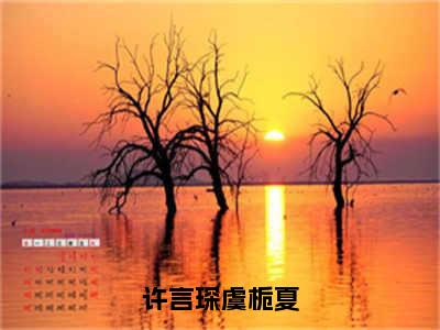 许言琛虞栀夏（虞栀夏许言琛）全文免费阅读最新章节大结局_许言琛虞栀夏最新章节列表_笔趣阁