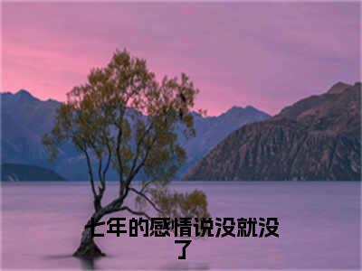 七年的感情说没就没了（唐沫沫陆以琤免费小说）全文免费阅读无弹窗大结局_唐沫沫陆以琤免费小说最新章节列表_笔趣阁