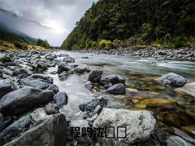 小说程屿沈姈姈完整版在线阅读沈姈姈程屿精选小说推荐试读