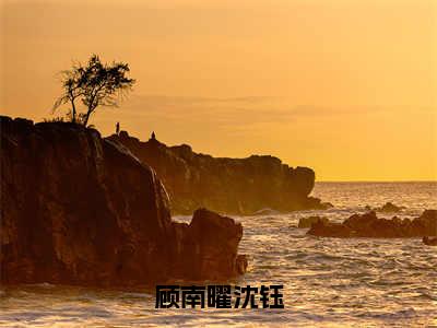 沈钰顾南曜（顾南曜沈钰）全文免费阅读_（顾南曜沈钰）沈钰顾南曜最新章节列表_笔趣阁