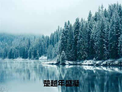 楚越年盛凝（盛凝楚越年）全文免费阅读无弹窗大结局_楚越年盛凝全文免费完结版阅读（盛凝楚越年）