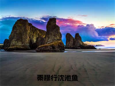 （全文）+（番外）沈池鱼秦穆行小说免费阅读-秦穆行沈池鱼沈池鱼秦穆行小说在哪里可以看