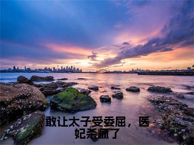 岳如霜（敢让太子受委屈，医妃杀疯了）全文免费阅读无弹窗大结局_敢让太子受委屈，医妃杀疯了小说最新章节列表_笔趣阁（岳如霜）