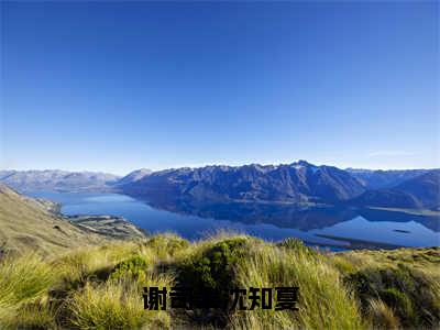 谢司聿沈知夏（谢司聿沈知夏）小说精彩免费内容_谢司聿沈知夏最新章节全文阅读（谢司聿沈知夏）