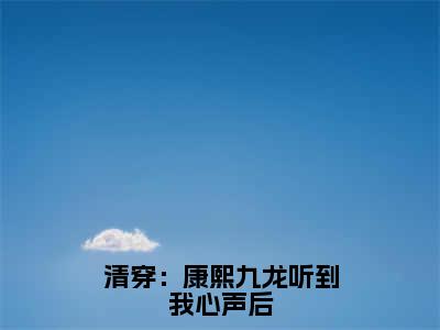 清穿：康熙九龙听到我心声后全集完整版大结局-文瑶小说在线赏析