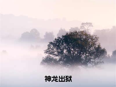 神龙出狱（陈登科）全文免费阅读无弹窗_陈登科最新小说精彩推荐