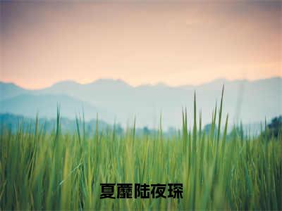 夏蘼陆夜琛（夏蘼陆夜琛）全文免费阅读无弹窗_夏蘼陆夜琛:夏蘼陆夜琛最新小说_笔趣阁