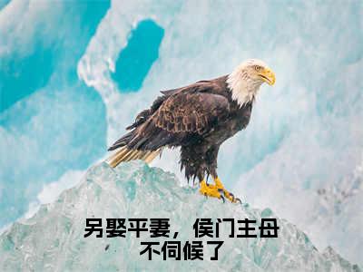 另娶平妻，侯门主母不伺候了（萧景珩宋晚吟小说）全文免费阅读无弹窗大结局_另娶平妻，侯门主母不伺候了全文免费阅读_笔趣阁