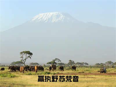 赢执野苏梵音小说免费下载（赢执野苏梵音完整全集已完结大结局小说）_苏梵音赢执野免费阅读笔趣阁