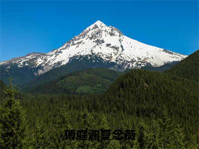 傅庭渊夏念薇（夏念薇傅庭渊）全文免费阅读无弹窗大结局_（夏念薇傅庭渊）小说免费阅读无弹窗最新章节列表