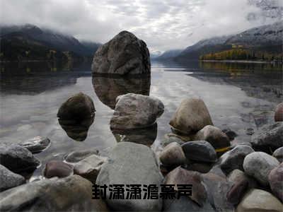 封潇潇澹慕声（封潇潇澹慕声）全文免费阅读无弹窗_封潇潇澹慕声小说免费阅读_笔趣阁