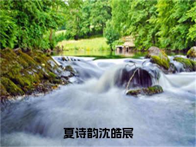 夏诗韵沈皓宸（沈皓宸夏诗韵）全文免费阅读无弹窗大结局_夏诗韵沈皓宸小说最新章节列表_笔趣阁