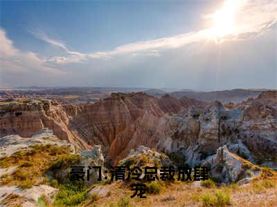 祁郁南倾（豪门:清冷总裁放肆宠全章节完整版）免费阅读_（祁郁南倾）全文无删减免费阅读（祁郁南倾）