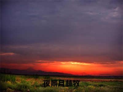 林牧夜景月（夜景月林牧）全文在线阅读无弹窗大结局_（夜景月林牧）最新章节列表_笔趣阁